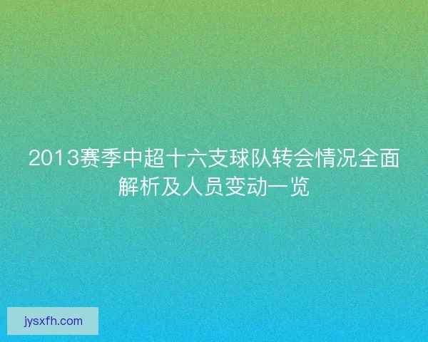 2013赛季中超十六支球队转会情况全面解析及人员变动一览