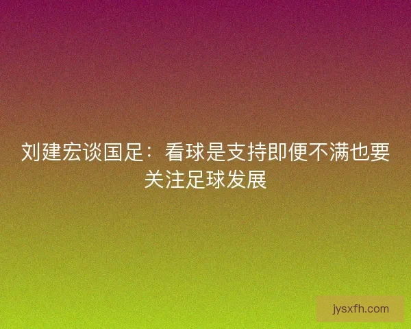 刘建宏谈国足:看球是支持即便不满也要关注足球发展 刘建宏谈国足:看球是支持即便不满也要关注足球发展