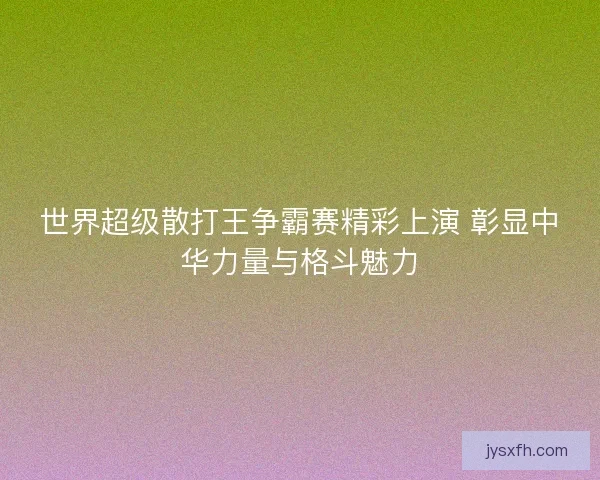 世界超级散打王争霸赛精彩上演 彰显中华力量与格斗魅力 世界超级散打王争霸赛精彩上演 彰显中华力量与格斗魅力